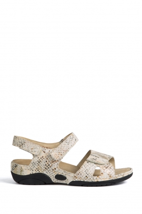 1605 Berkemann Jacklyn Kadın Anatomik  Sandalet 3.0-8.5 Beige Schlangendruck - 755