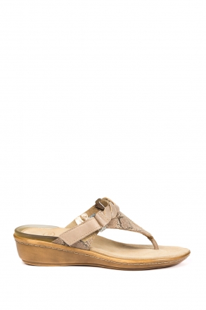 24364 Scholl Meridien Kadın Terlik 35-41 Bej / Beige
