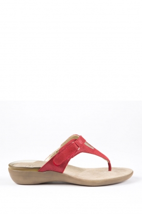 25695 Scholl Croset Kadın Terlik 35-41 Kırmızı / Red