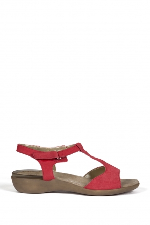 25700 Scholl Carswell Kadın Sandalet 35-41 CORAL