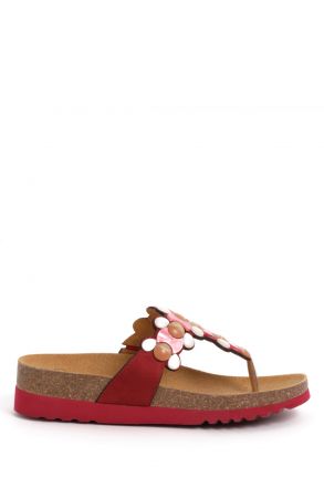 31330 Scholl Sintra Flip Kadın Parmak Arası Mantar Terlik 36-41 Kırmızı/Red